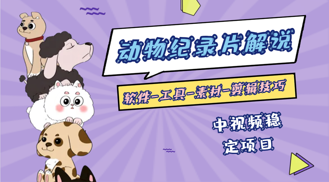 国外纪录片解说