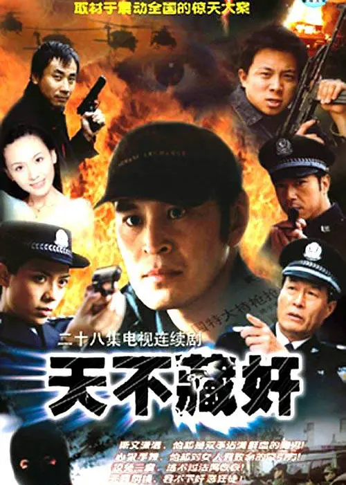 《天不藏奸》解说文案