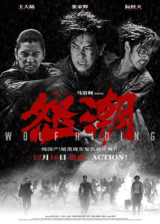 《怒潮》解说文案
